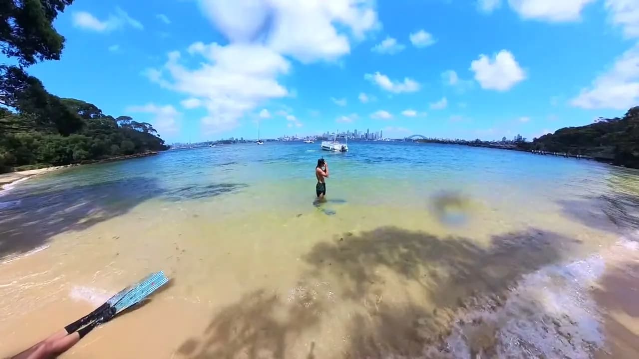 A harbour beach at a swim stop, a paddleboard on the sand
